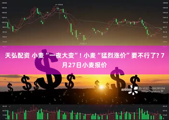 天弘配资 小麦“一夜大变”! 小麦“猛烈涨价”要不行了? 7月27日小麦报价