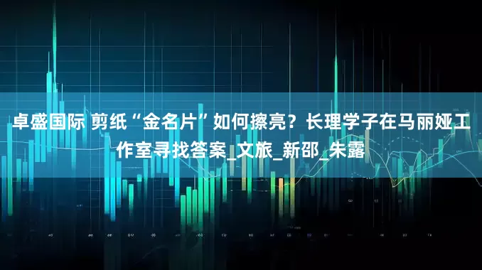 卓盛国际 剪纸“金名片”如何擦亮？长理学子在马丽娅工作室寻找答案_文旅_新邵_朱露
