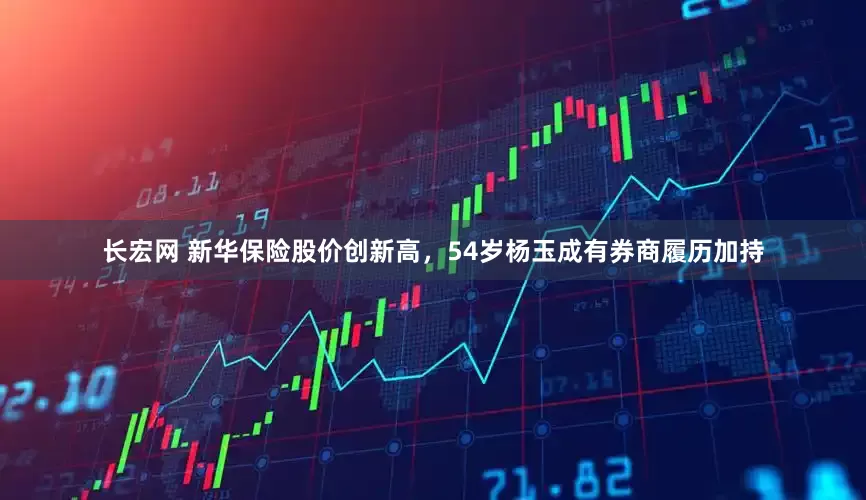 长宏网 新华保险股价创新高，54岁杨玉成有券商履历加持