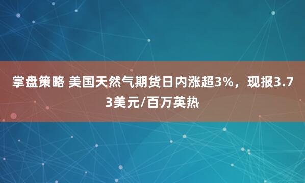 掌盘策略 美国天然气期货日内涨超3%，现报3.73美元/百万英热